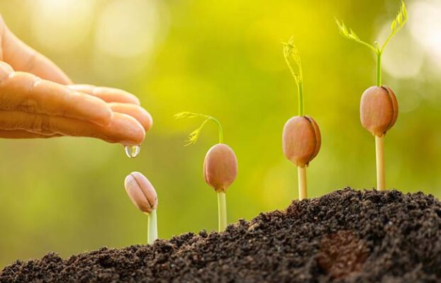 From One Seed to a Grove: How Our Family of Brands Is Reimagining Wellness—Together